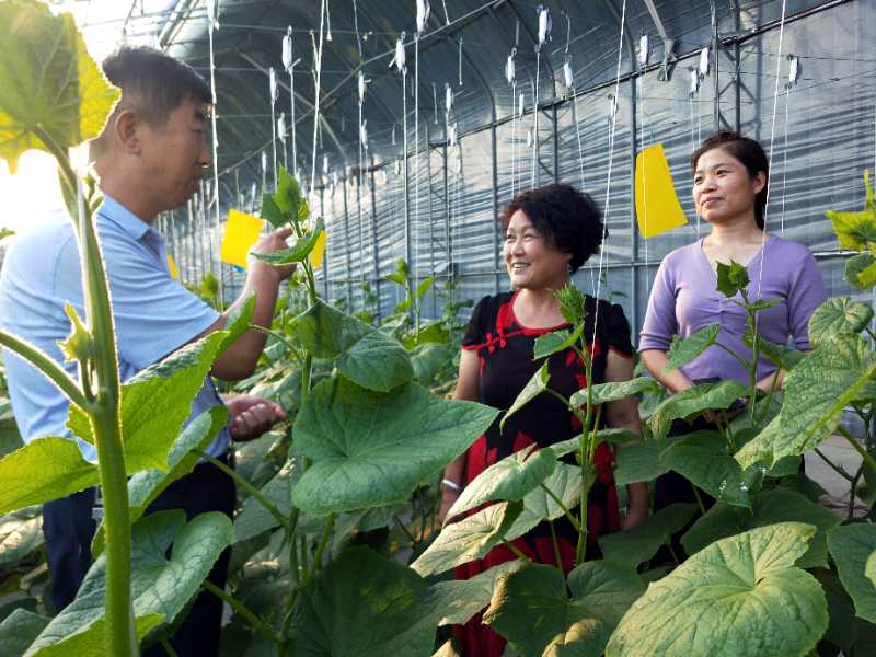 微信图片_20200824090432