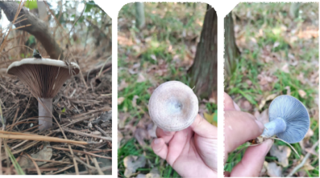 图片 1 图片 1.png