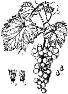 pagenumber_ebook=192,pagenumber_book=192