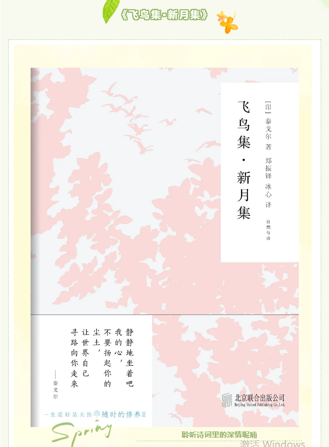 image.png?v=1749338560140