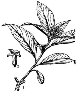 pagenumber_ebook=152,pagenumber_book=152