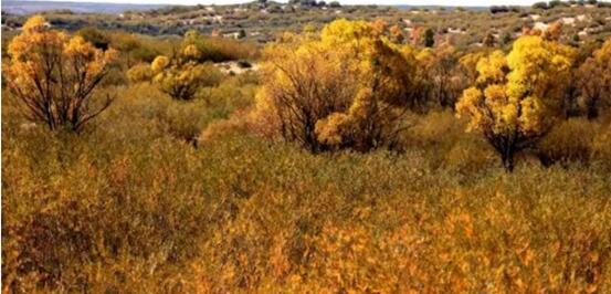 A22.jpg?v=1763520868647