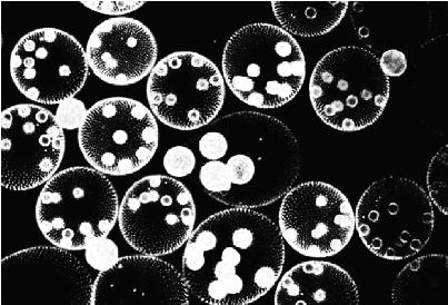 pagenumber_ebook=112,pagenumber_book=112