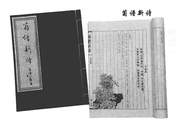 02陈王庭 02陈王庭.jpg