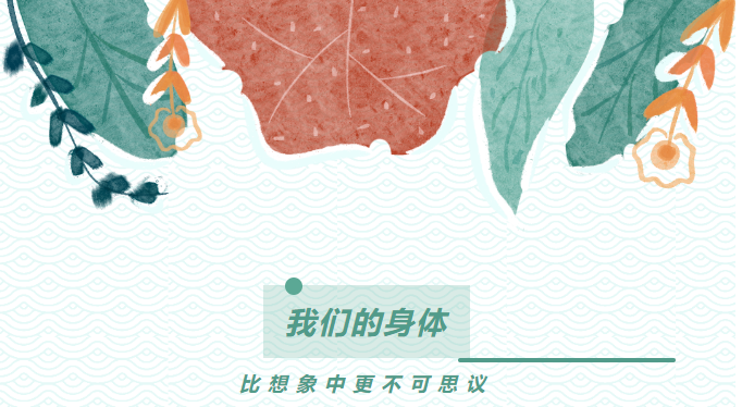 image.png?v=1750228560197