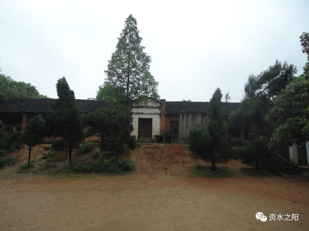 11 11.png?v=1765880721220