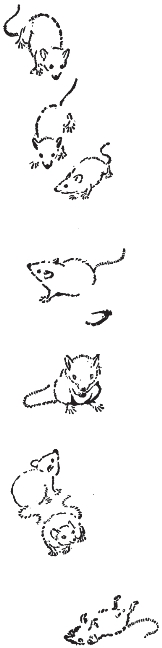 pagenumber_ebook=23,pagenumber_book=15