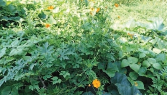 pagenumber_ebook=171,pagenumber_book=163