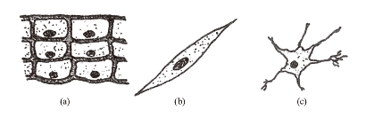 pagenumber_ebook=231,pagenumber_book=227