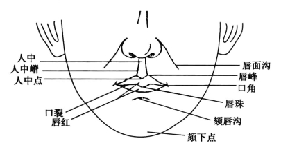 pagenumber_ebook=107,pagenumber_book=98