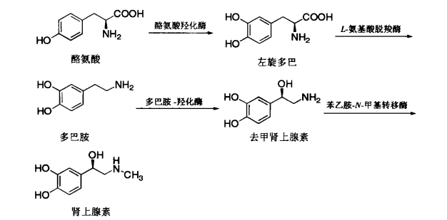 pagenumber_ebook=157,pagenumber_book=139