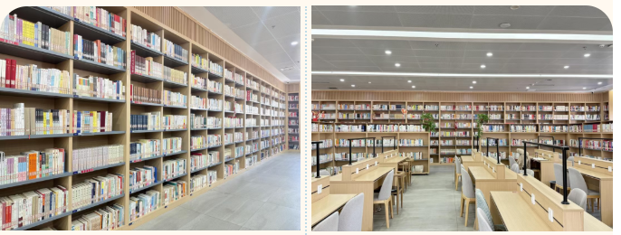 image image.png?v=1770605021895