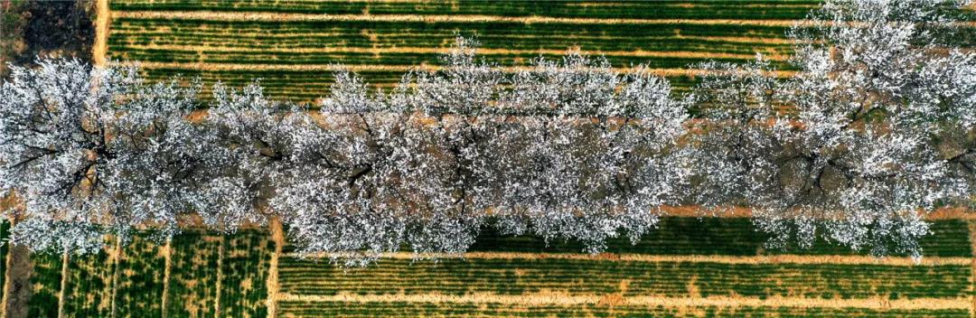 微信图片_20210318082813