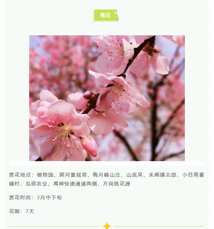 d81cfd04b129cf1a8564984fd007787dpng