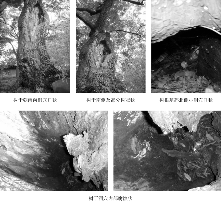 pagenumber_ebook=81,pagenumber_book=81