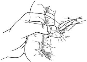 pagenumber_ebook=47,pagenumber_book=32