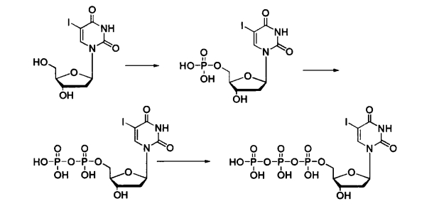 pagenumber_ebook=298,pagenumber_book=280