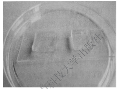 pagenumber_ebook=114,pagenumber_book=107