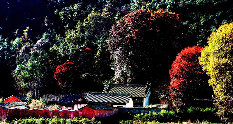 逸圃天马寺1.jpg