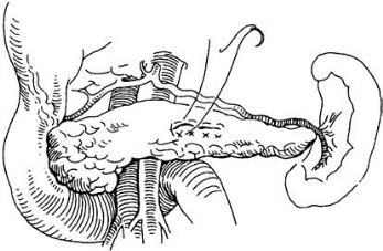 pagenumber_ebook=579,pagenumber_book=564