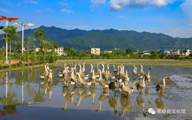 8 8.jpg?v=1765891042459