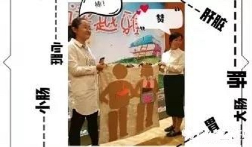 王思珍老师《我们的身体》3