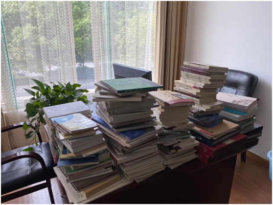 image image.png?v=1765796218929