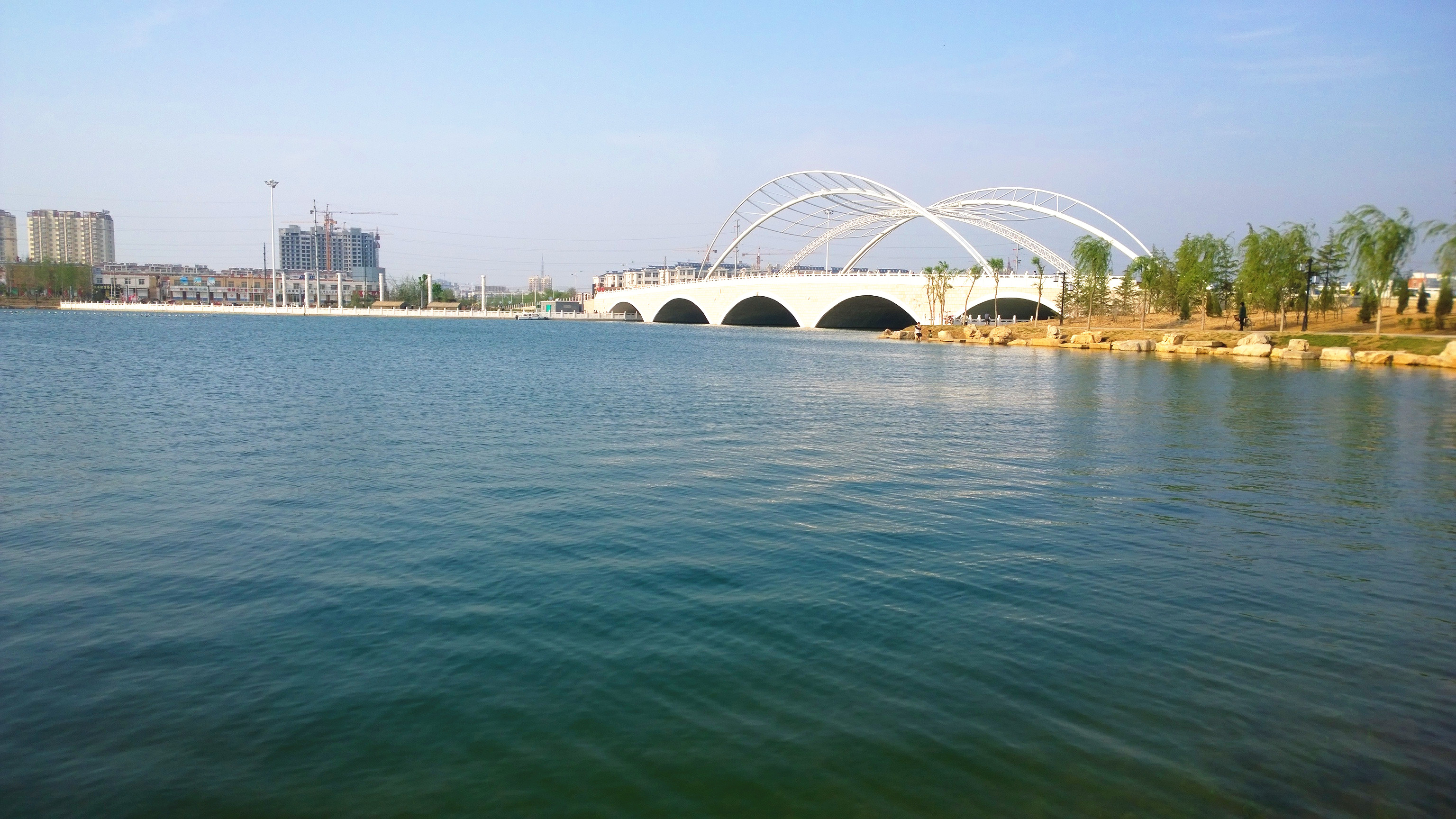 阳谷金水湖公园景色.jpg