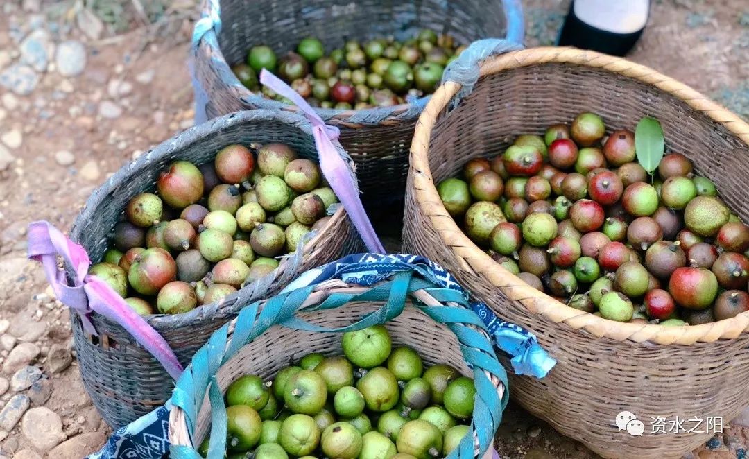 5 5.jpg?v=1765897829235