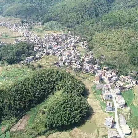 图片 1