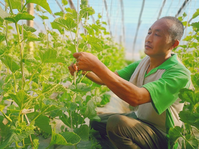 幸福生活 双手创造1张军婷