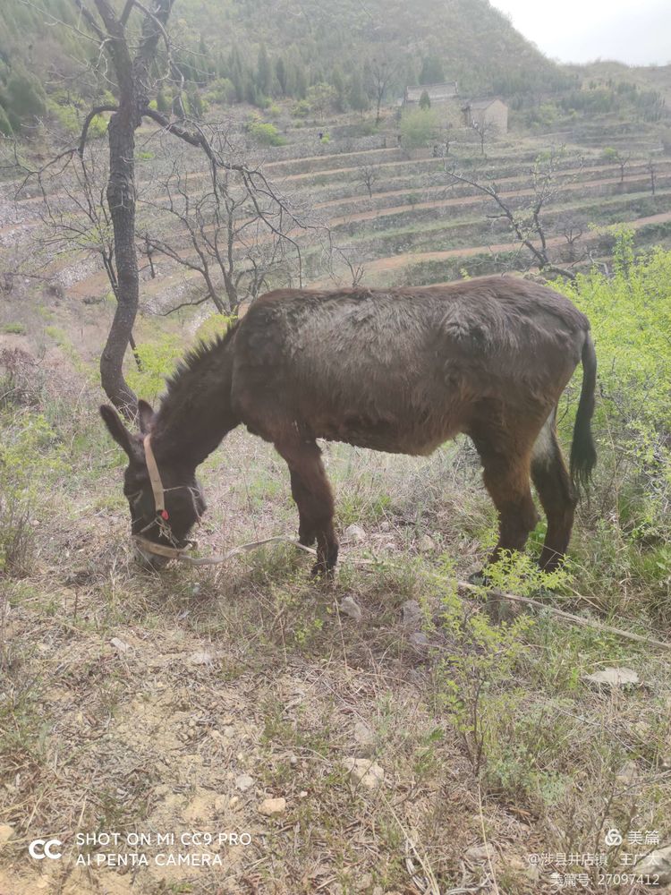 微信图片_20210420104751 微信图片_20210420104751.jpg