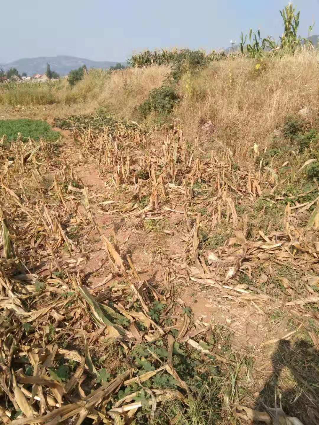 ad275099839a50f57148db802873226