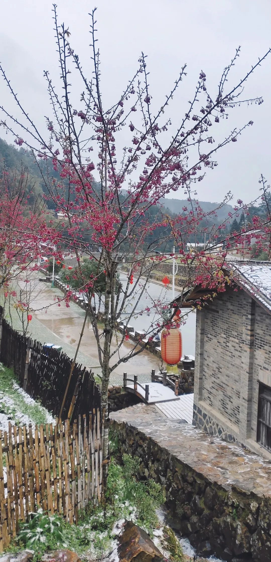 微信图片_20220225091915.jpg
