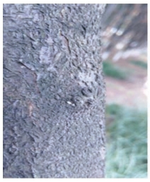 pagenumber_ebook=26,pagenumber_book=18