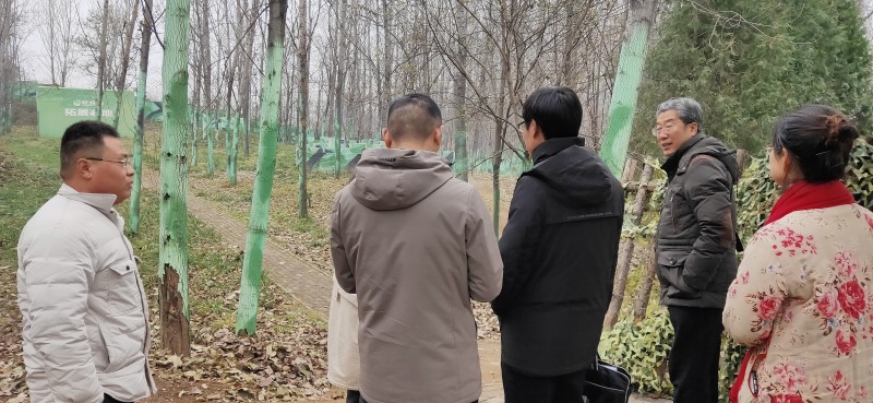 conew_img20201209104611 conew_img20201209104611.jpg