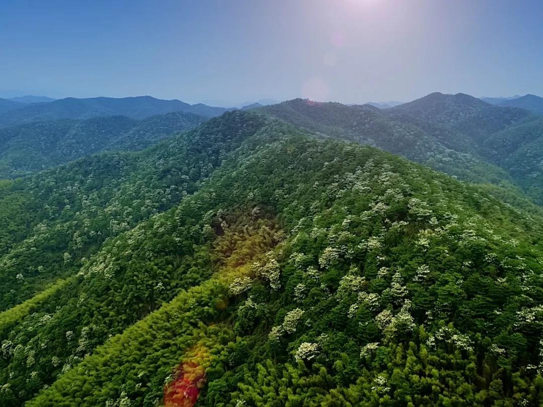 微信图片_20200712014859 微信图片_20200712014859.jpg