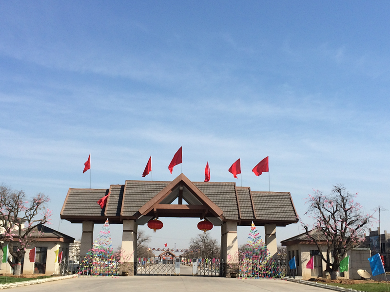 图片5_副本 图片5_副本.png