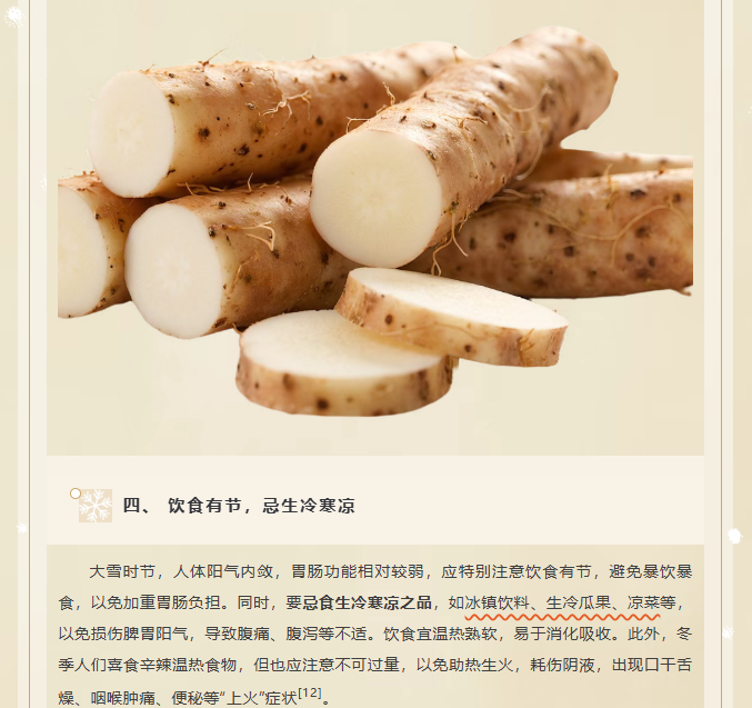 image.png?v=1766278436578