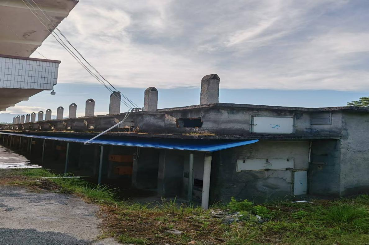 图片10 图片10.png