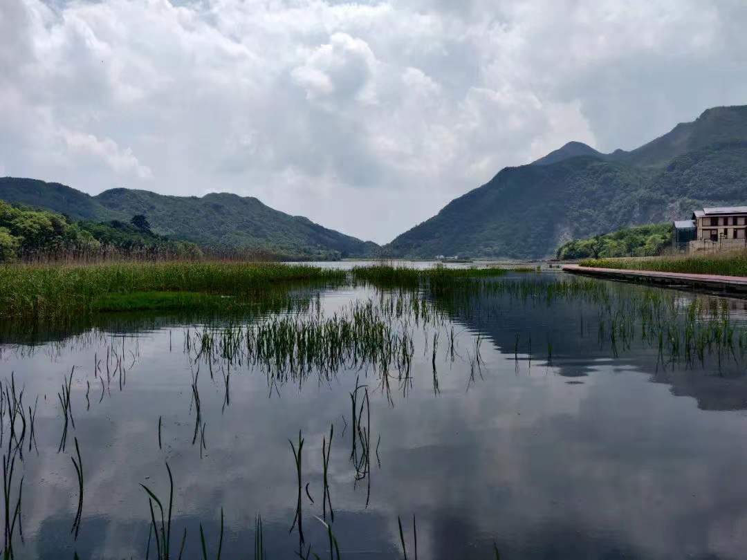 0a473941f1ca0b14755f2bc4ace4dcc 0a473941f1ca0b14755f2bc4ace4dcc.jpg?v=1762743078123