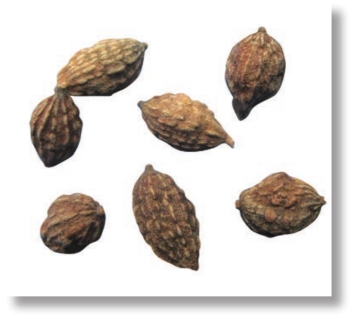 pagenumber_ebook=265,pagenumber_book=252