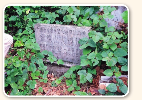 pagenumber_ebook=188,pagenumber_book=178