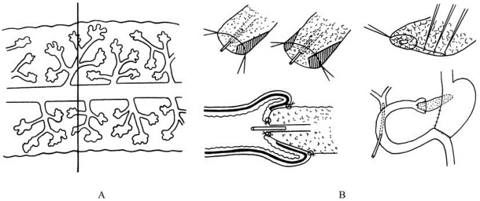 pagenumber_ebook=146,pagenumber_book=131