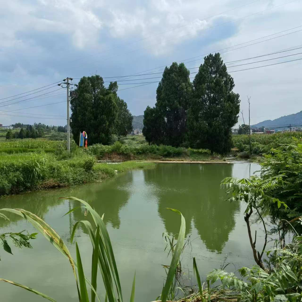 图片12 图片12.png