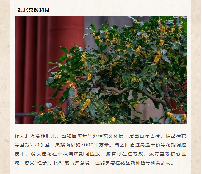 image.png?v=1762099910466