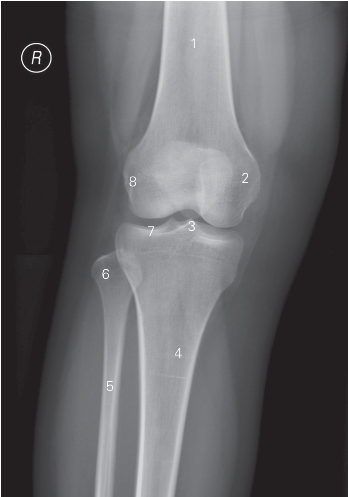 pagenumber_ebook=167,pagenumber_book=158