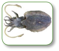 pagenumber_ebook=302,pagenumber_book=289