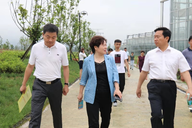 微信图片_20190705105912