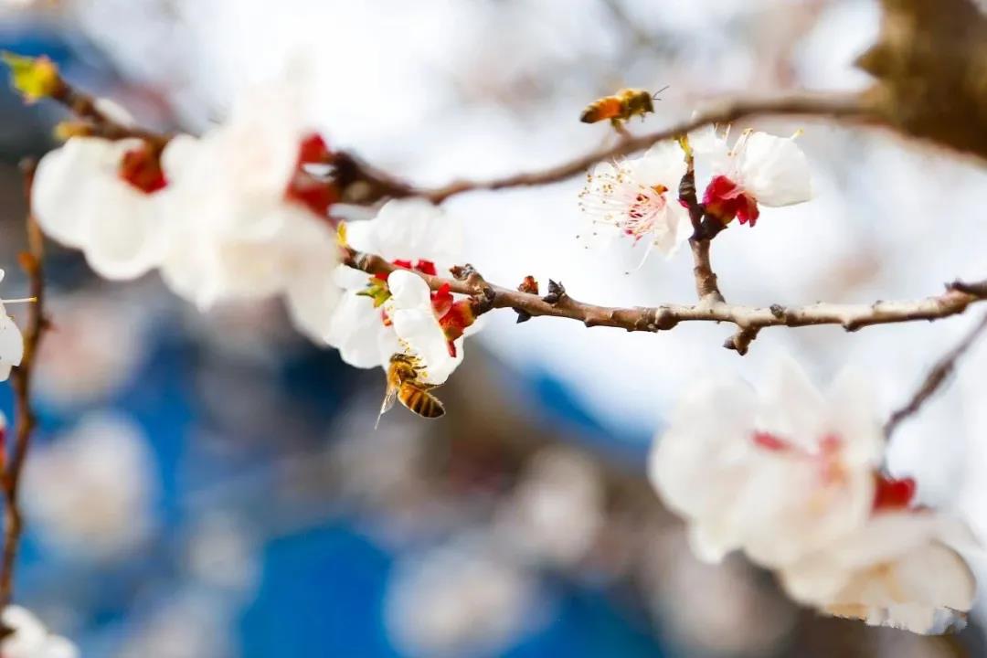 微信图片_20210406102531 微信图片_20210406102531.jpg